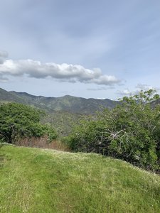 More views