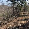 Looking east towards Shenandoah Mountain as the trail climbs.