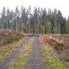 One of the three log piles you have to navigate over at the start of the trail.