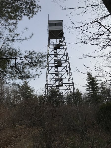 The Firetower on Moore Hill.
