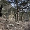 There's a lot of really cool rock formations as you get higher up The Esse's Trail