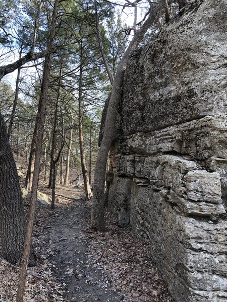 Huge rock right beside the trail!