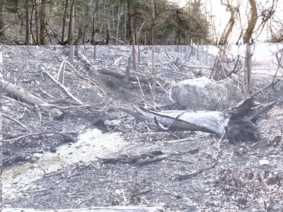 This lake was up 30' higher than this picture in May of 2019. Here's remnants of that flooding. Do not hike this trail when the lake is up.