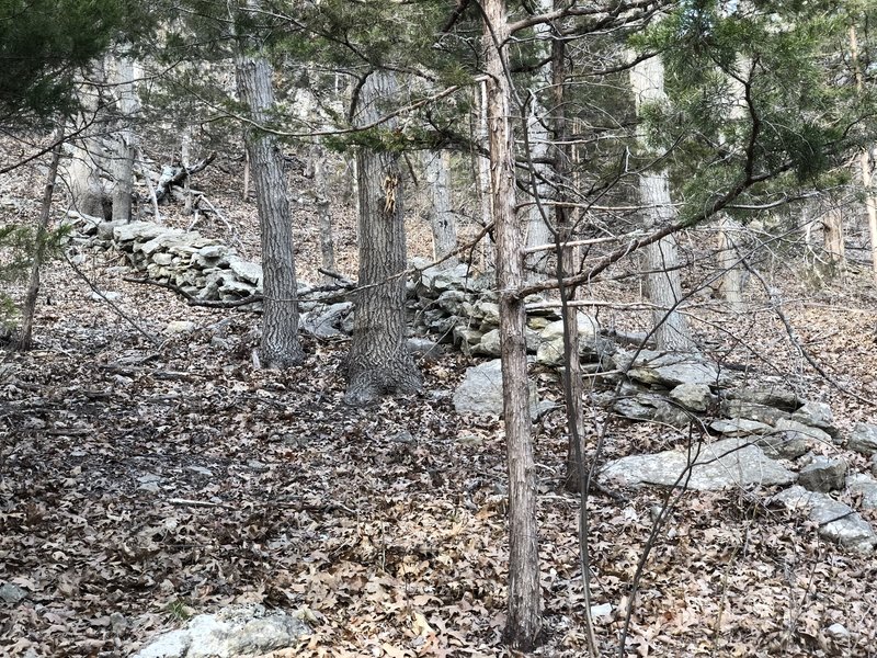 seems to be a fence from long ago...