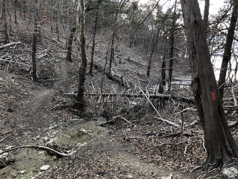 This lake was up 30' higher than this picture in May of 2019.  Here's remnants of that flooding.  Do not hike this trail when the lake is up.