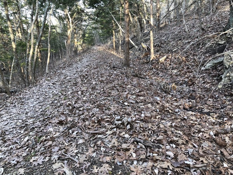 This section of trail seems to be an old road or something. There's a ditch on the up side of the trail and has this feel that it was more than just a hiking trail at some point in the past.