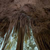 Carlsbad Caverns