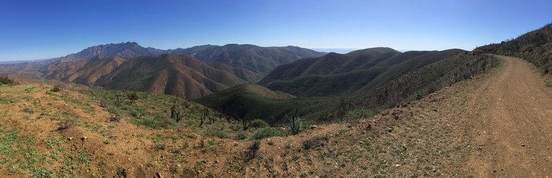 Looking towards Sycamore Canyon Fireroad.