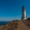 Channel Islands National Park - Anacapa Island