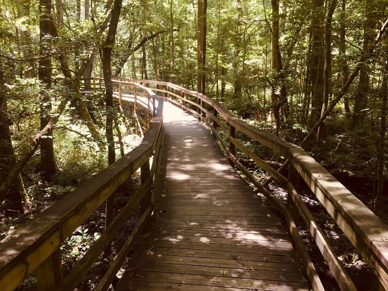 Congaree National Park