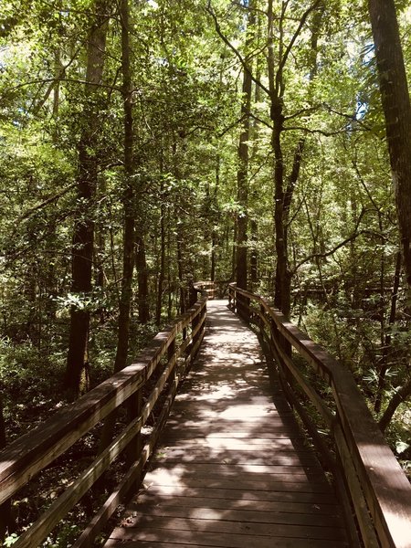 Congaree National Park