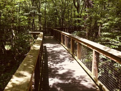 Congaree National Park