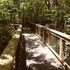 Congaree National Park