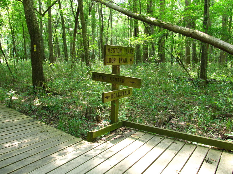 Lower Boardwalk Trail, Congaree National Park