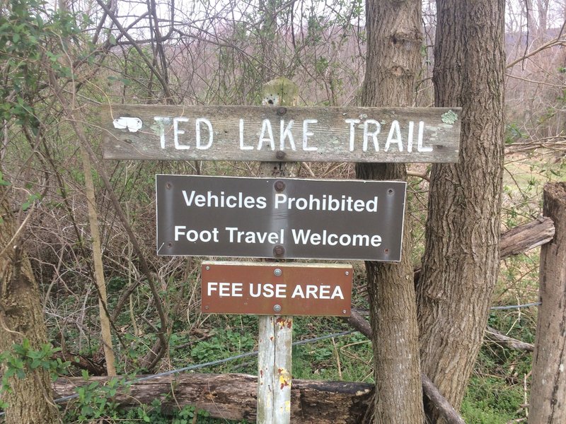 Ted Lake - Trailhead at the lower end, Leeds Manor Rd south parking area.