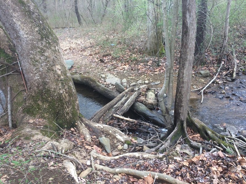 Just upstream from where the Lower Ted Lake Trail first intersects the creek is a small make-shift bridge