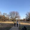 There's a decent number of trees in this park compared to some, probably provides decent shade in the summer.