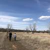 Little bluestem prairie grass everywhere