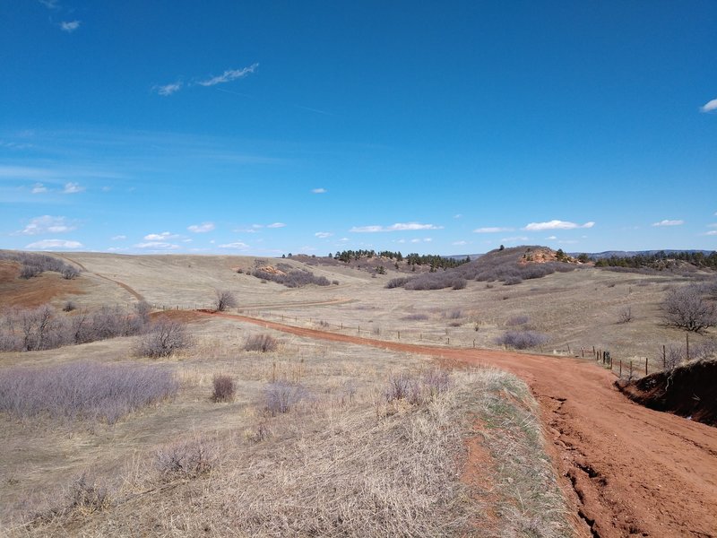 End of Sharptail Ridge Trail and start of Swallowtail Trail on County Road 5.