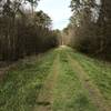 Grassy embankment on trail