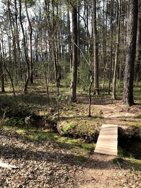 Well-built bridges on the trail