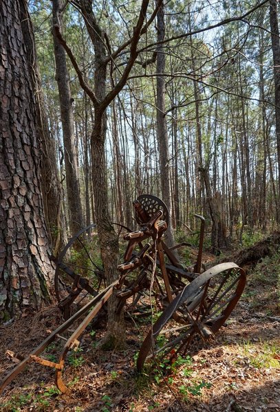 Farm equipment being retaken by the forest