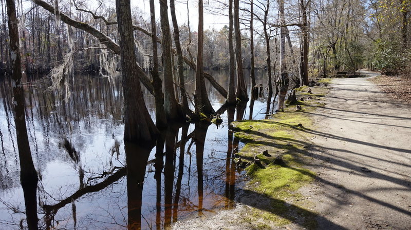 High Spring waters on the trail