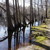 High Spring waters on the trail