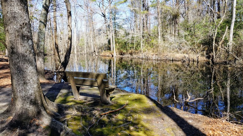 Lovely spot to enjoy the wetlands