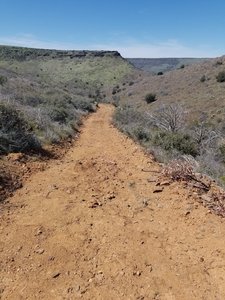 Trail