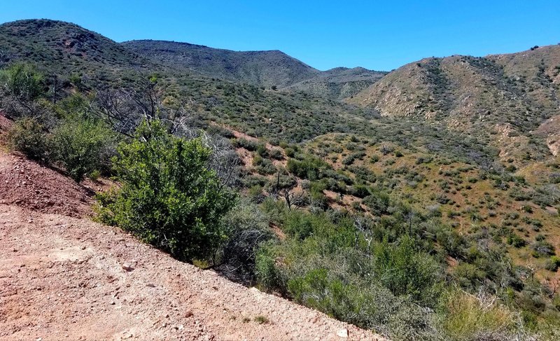 Trail views