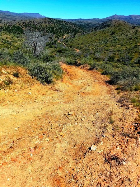 Skunk Creek Trail