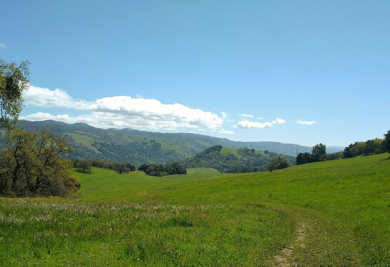 The vast meadows at the southern end of Brush Trail, with the Diablo Range hills extending far into the distance, looking east on Brush Trail on a gorgeous spring day.