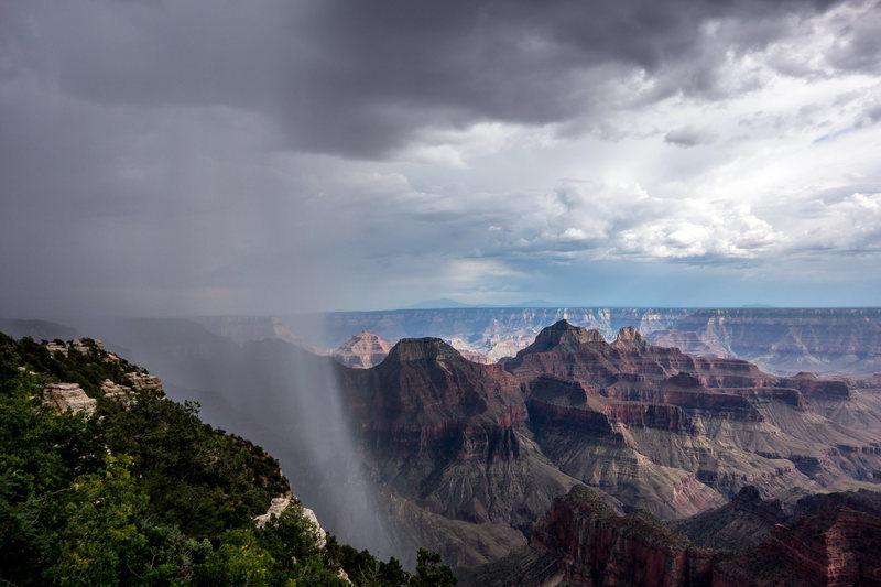 Afternoon rain, North Rim, Grand Canyon.