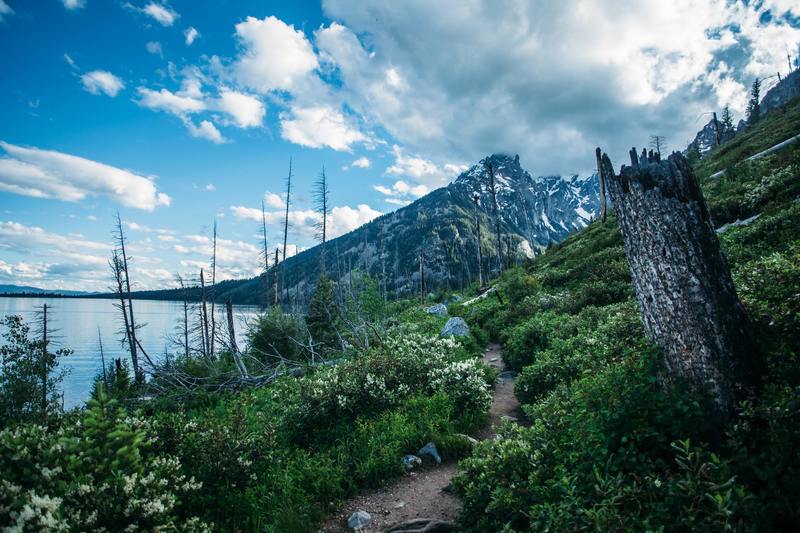 Grand Teton National Park