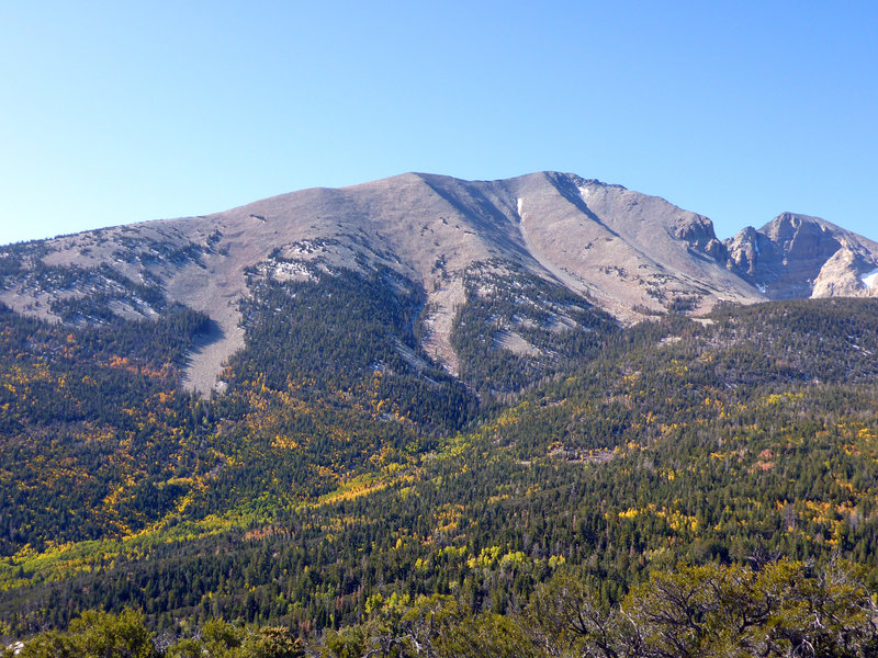 Autumn in Great Basin NP