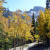 Wheeler Peak and aspens