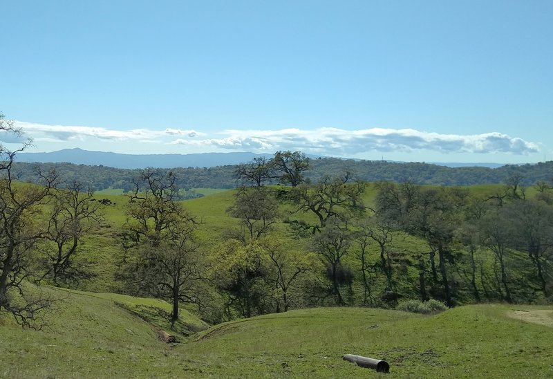 The Santa Cruz Mountain are southwest in the far distance, with Loma Prieta, 3,790 ft., their highest peak, on the left, as Yerba Buena Trail winds through the spring green hills of the Diablo Range.