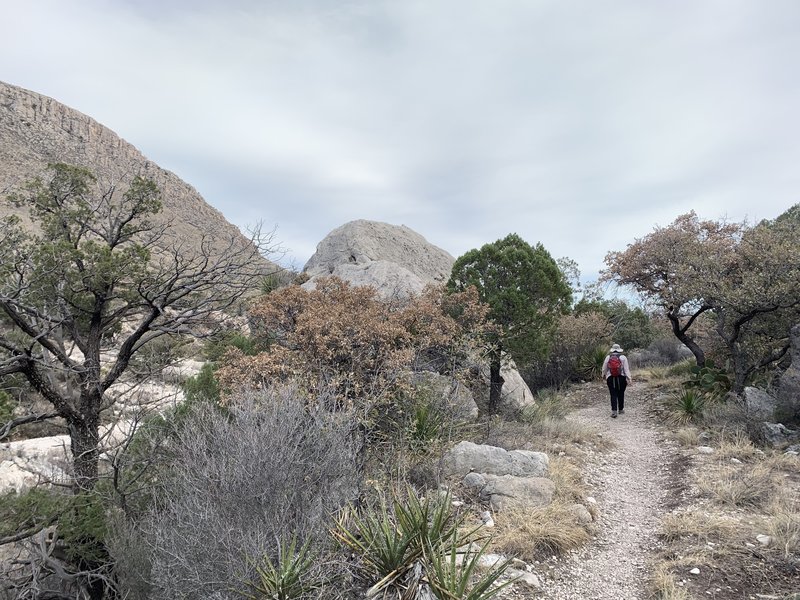 Guadalupe Mountains National Park