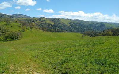 The spring green hills deep in the Joseph D. Grant County Park backcountry near the Canada de Pala Trail start. The trail is faint here as it goes through the grass meadows.