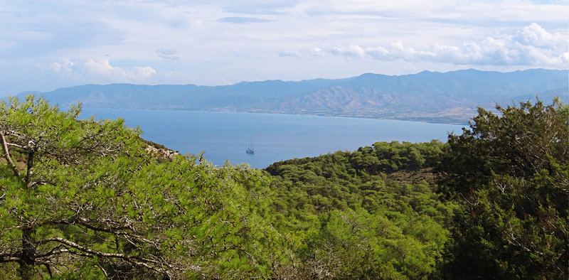 Pafos Forest View