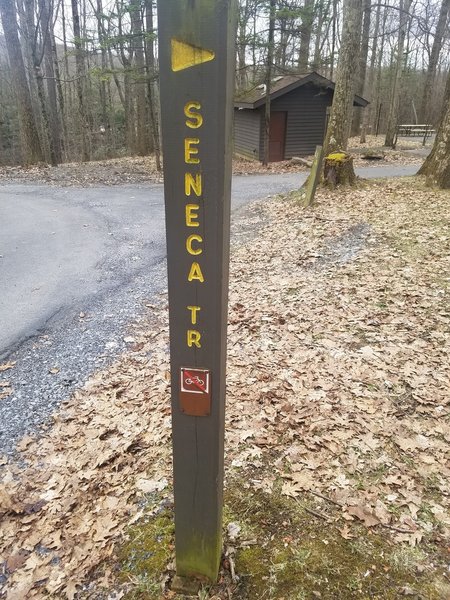 Seneca Trail - TrailHead