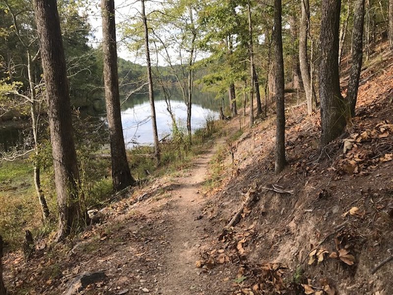 Beautiful view riding on the lake.