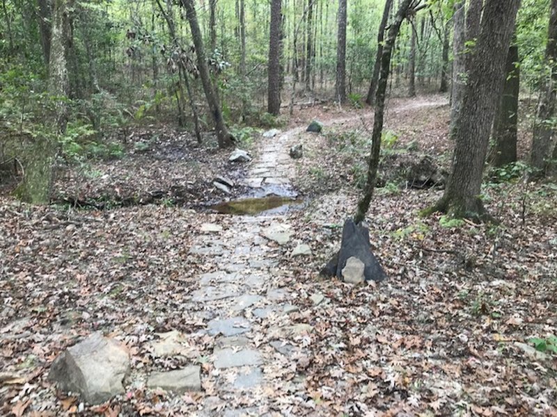 Stream crossing on the DewDropper