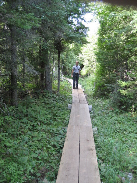 Plank boardwalk on the trail to Lookout Louise, Isle Royale National Park, Rock Harbor, Michigan.