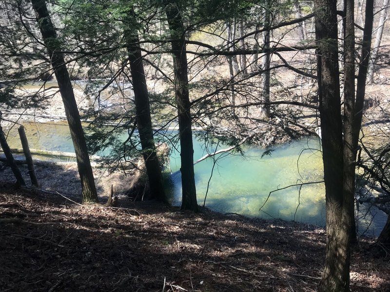 A view of 15 Mile Creek from Pine Lick Trail.