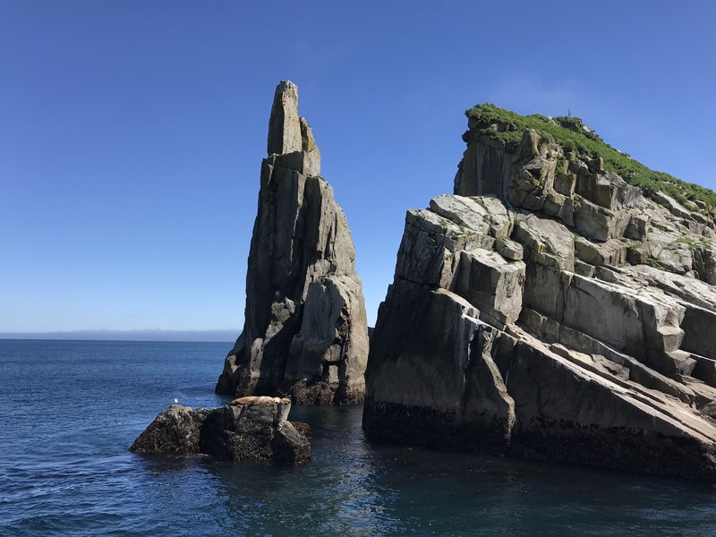 Kenai Fjords National Park