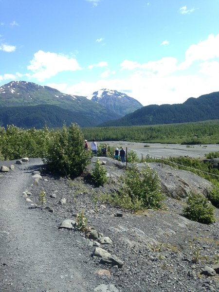 Exit Glacier