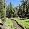 Kings Creek meadows