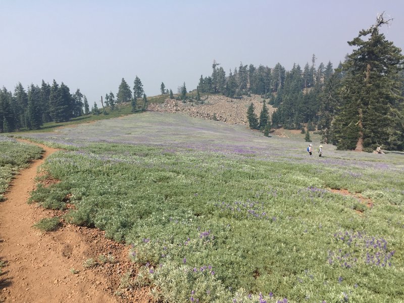 Lassen Volcanic National Park